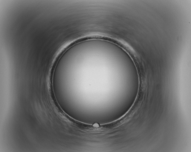X0000116331279200912011125