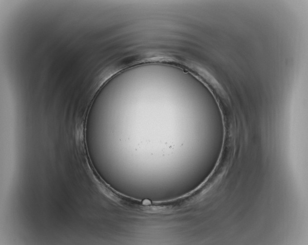 X0000116331281200912011125