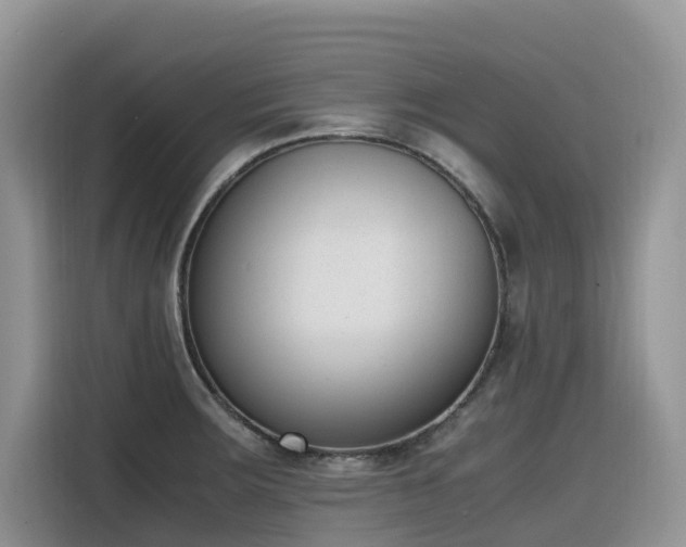 X0000116331283200912011125