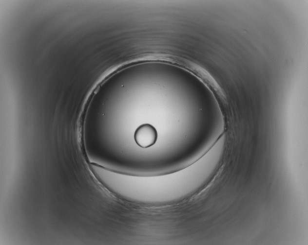 X0000116331284200912011125
