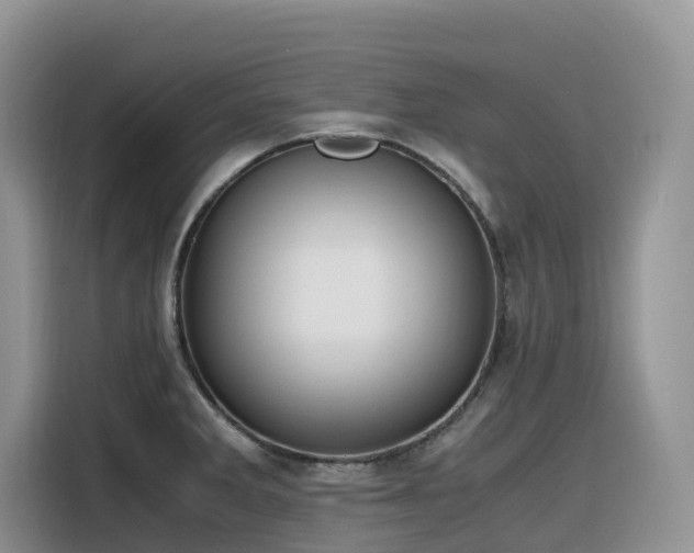 X0000116331285200912011125