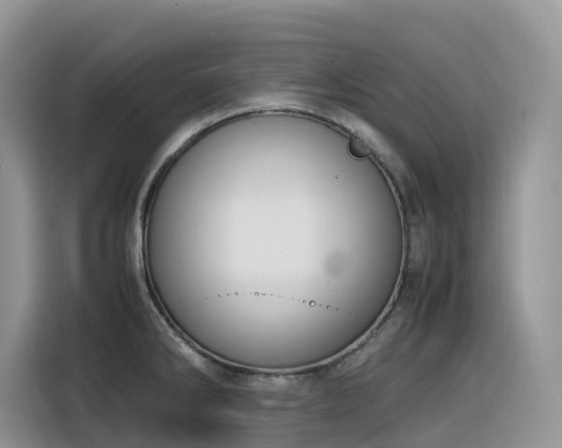 X0000116331286200912011125