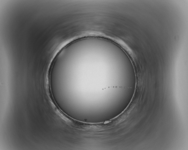 X0000116331287200912011125