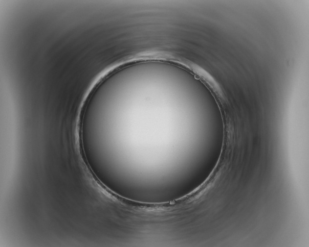 X0000116331288200912011125