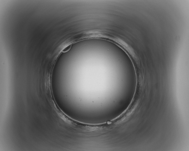 X0000116331289200912011125