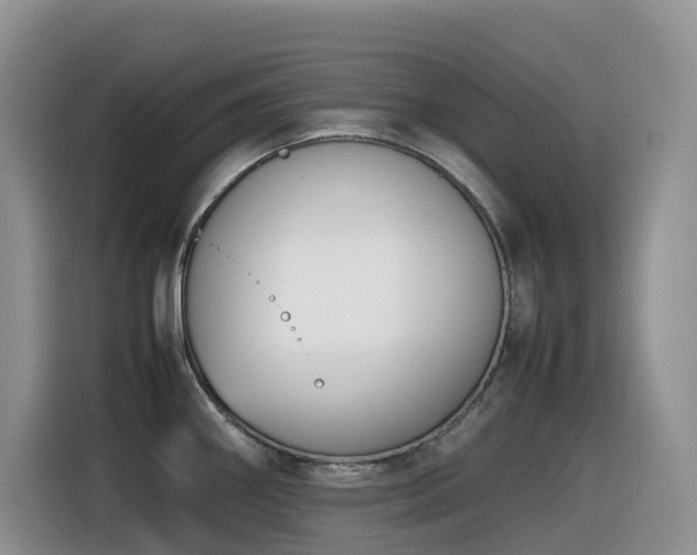 X0000116331290200912011125