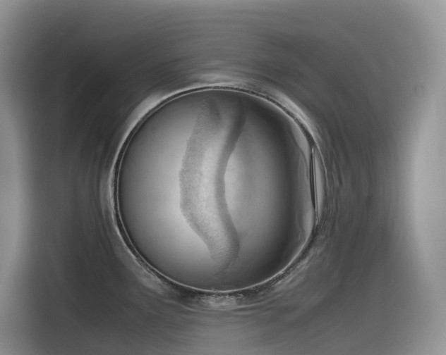 X0000116331291200912011125
