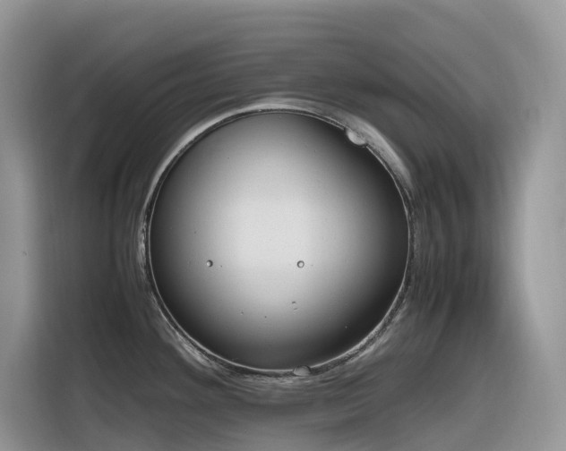 X0000116331292200912011125