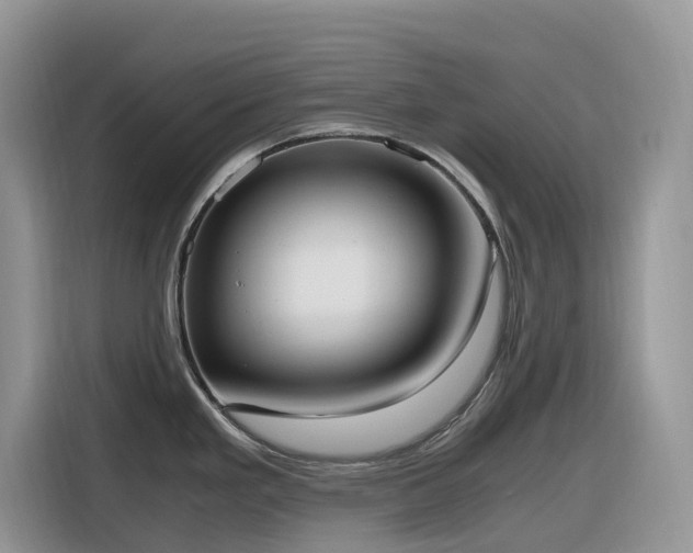 X0000116331293200912011125