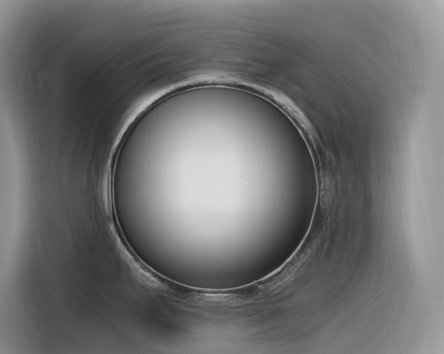 X0000116331295200912011125
