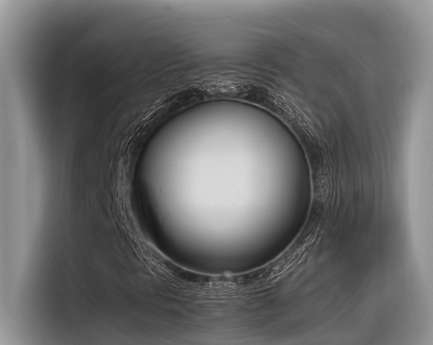 X0000116331297200912011124