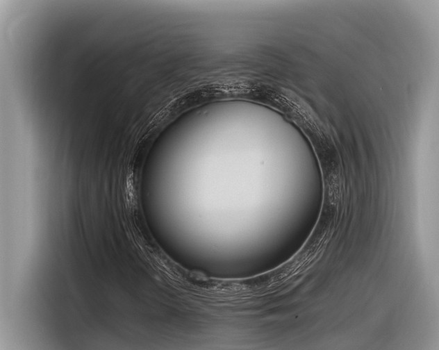 X0000116331298200912011124