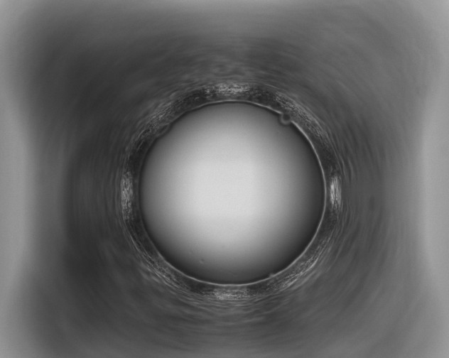 X0000116331299200912011124