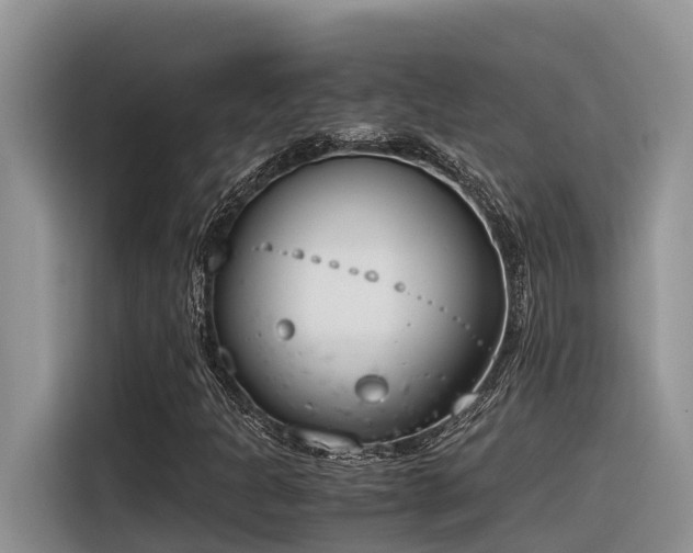 X0000116331301200912011124