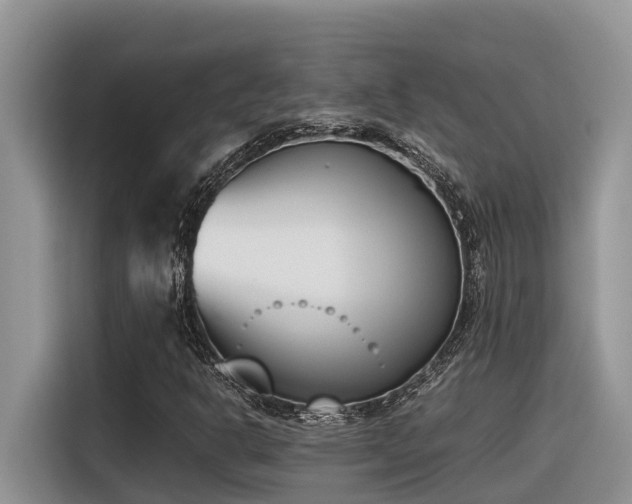 X0000116331302200912011124