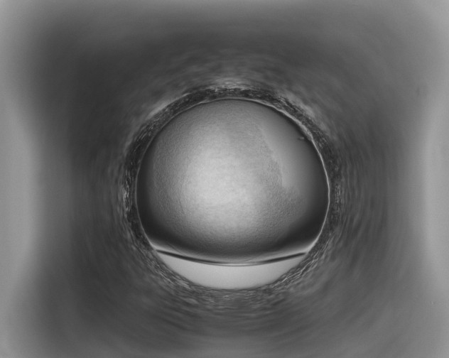X0000116331303200912011124