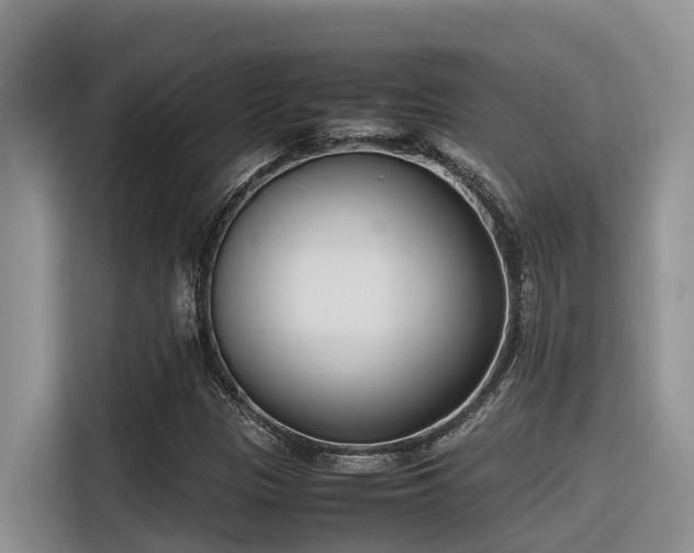 X0000116331305200912011124