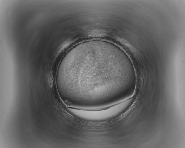 X0000116331306200912011124