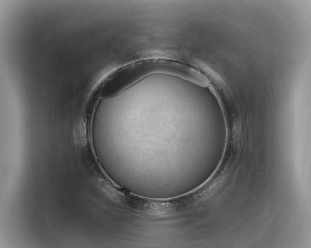 X0000116331310200912011124