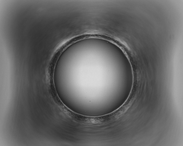 X0000116331311200912011124