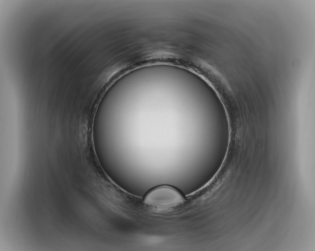X0000116331313200912011124