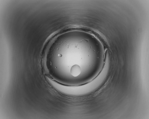 X0000116331314200912011124