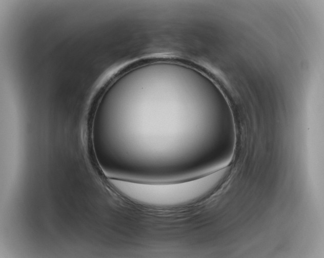 X0000116331319200912011124