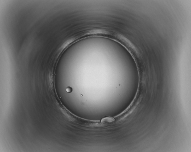 X0000116331321200912011125