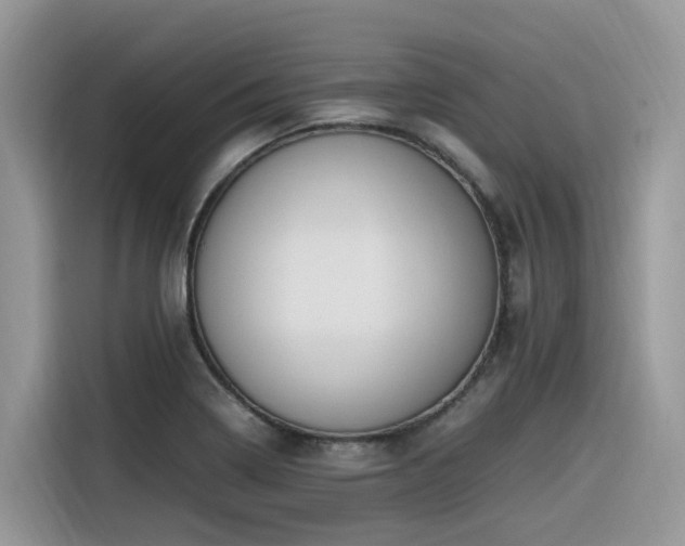 X0000116331322200912011125