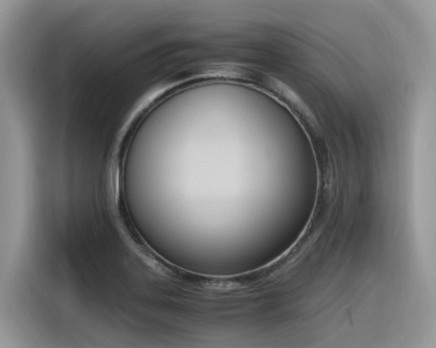 X0000116331323200912011125