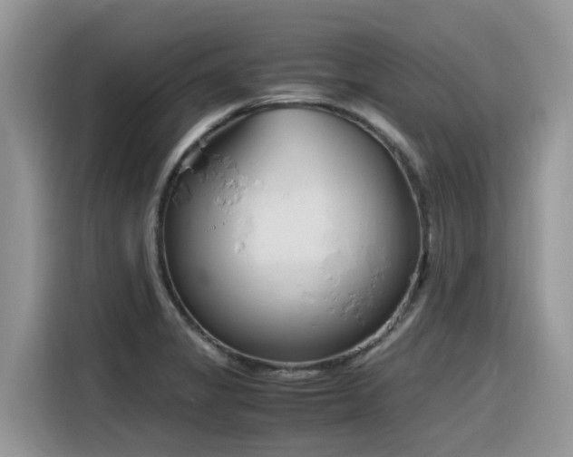 X0000116331325200912011125