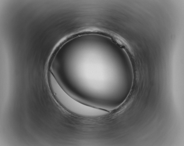 X0000116331326200912011125