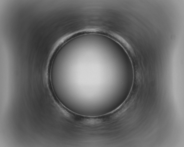 X0000116331327200912011125