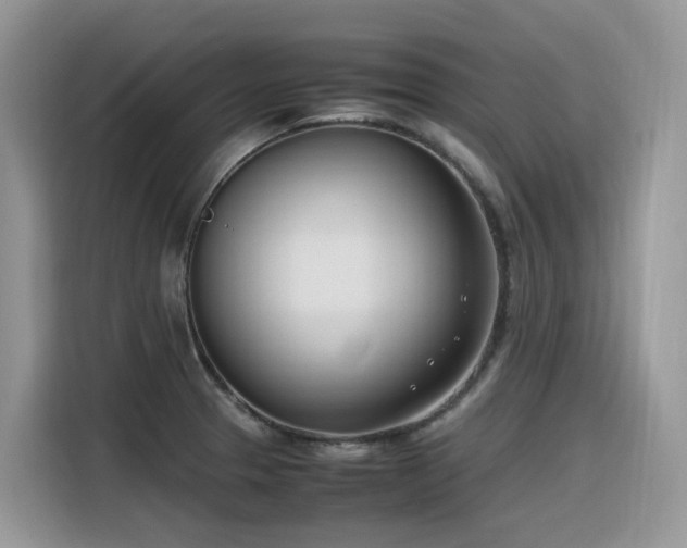 X0000116331329200912011125
