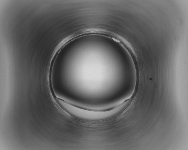 X0000116331330200912011125