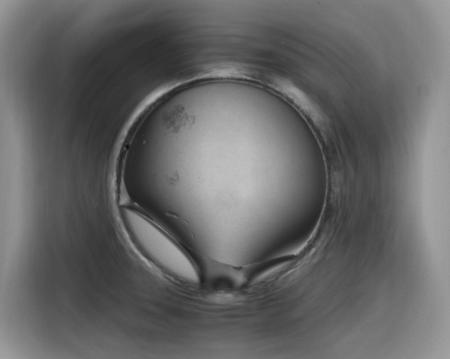 X0000116331331200912011125