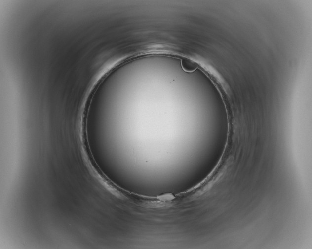 X0000116331333200912011125
