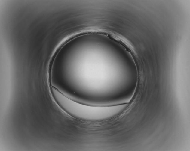 X0000116331334200912011125