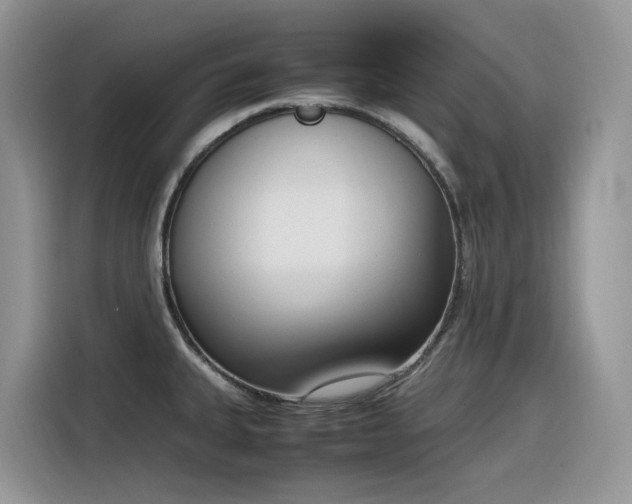 X0000116331335200912011125