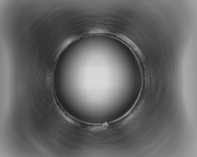 X0000116331337200912011125