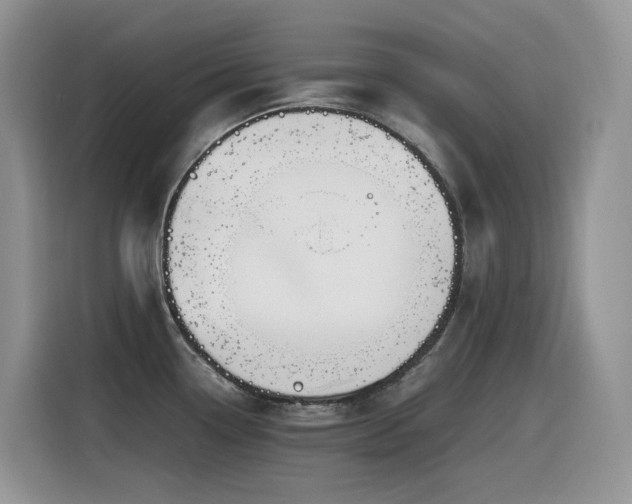 X0000116331338200912011125
