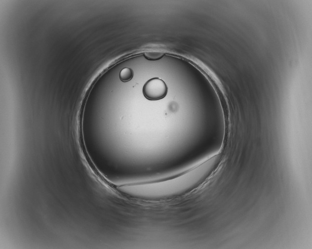 X0000116331341200912011125