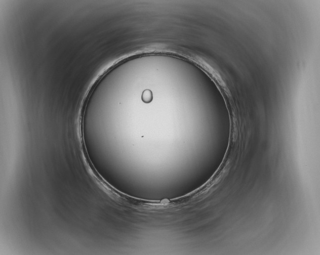 X0000116331342200912011125