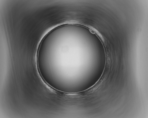 X0000116331343200912011125