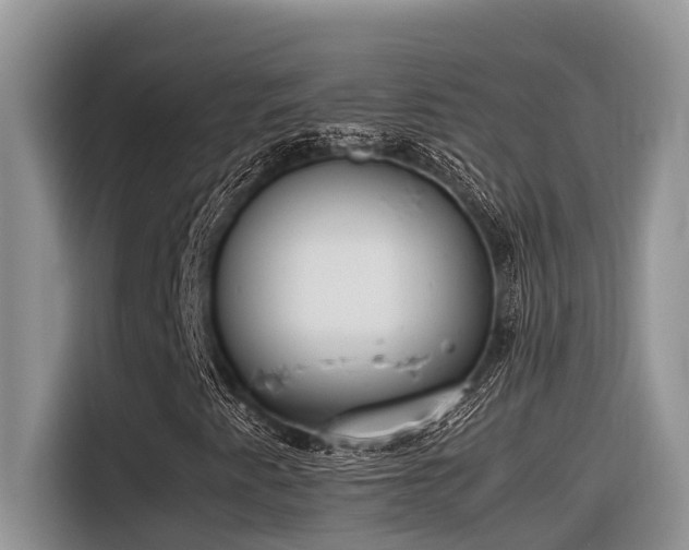 X0000116331345200912011124