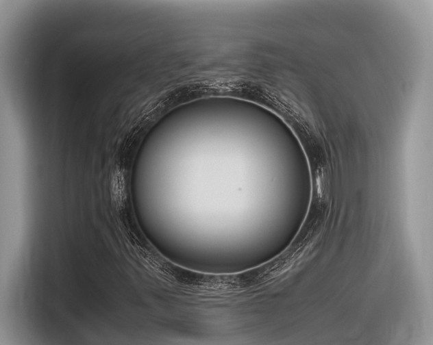 X0000116331347200912011124