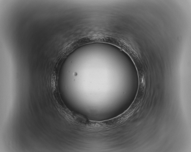 X0000116331348200912011124
