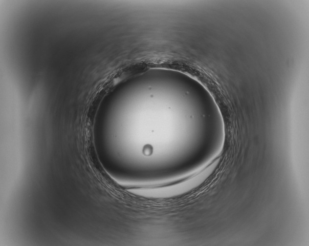 X0000116331349200912011124