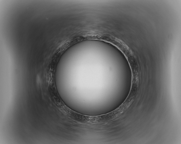 X0000116331350200912011124
