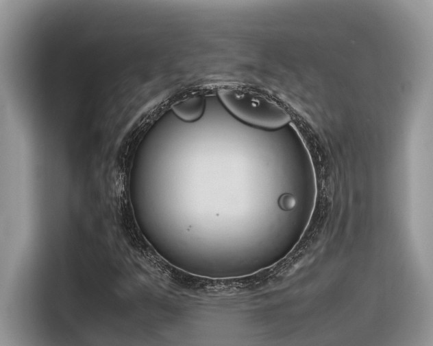 X0000116331351200912011124